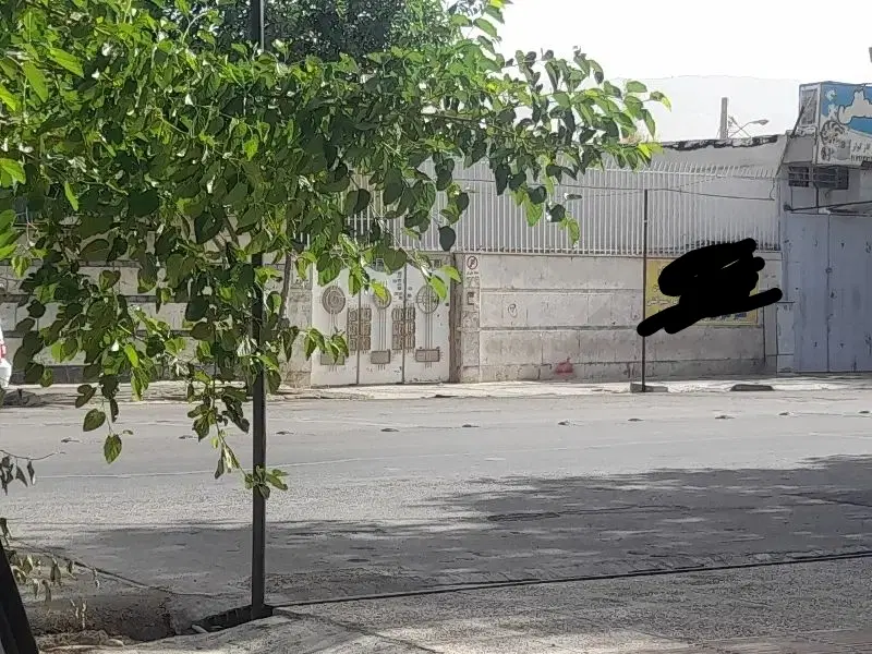 همخونه میشم