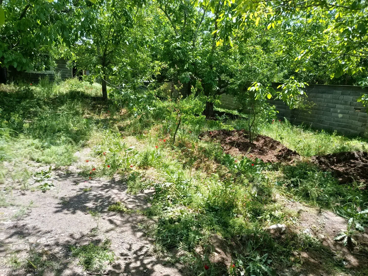 چهار دیواری اماده