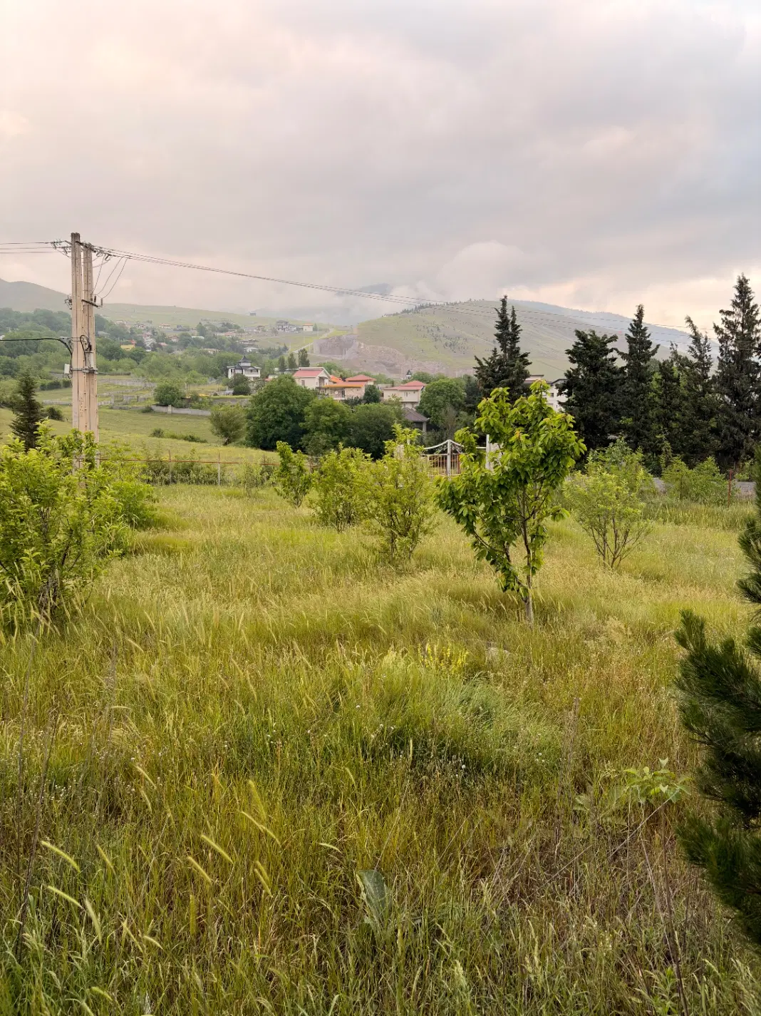 زمین سند دار کلاردشت