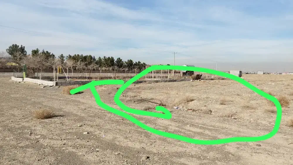 معاوضه زمین سمت شاندیز با گوسفند