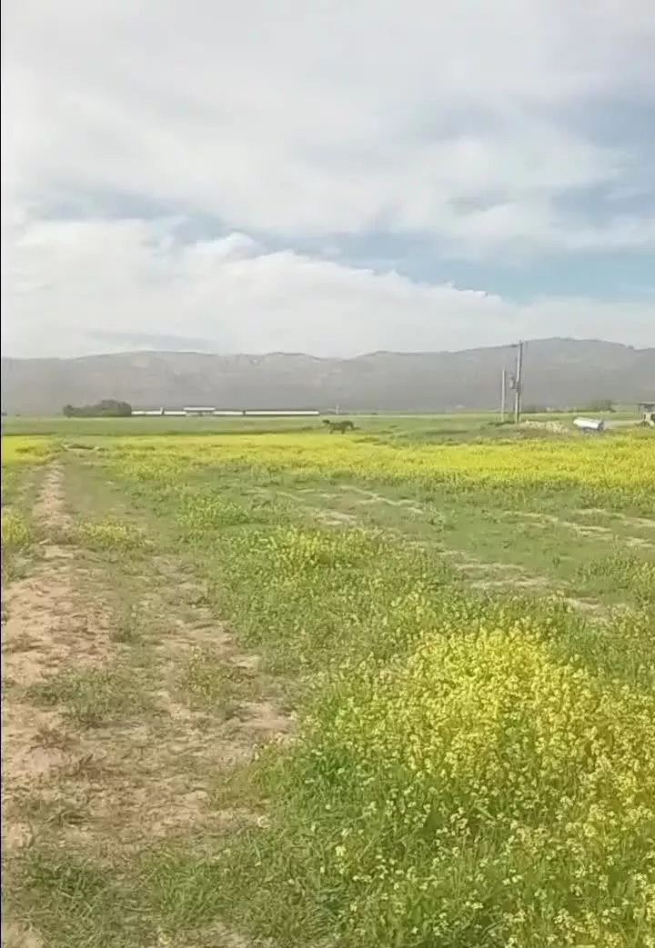 زمین مسکونی در بهترین نقطه آبباریکی
