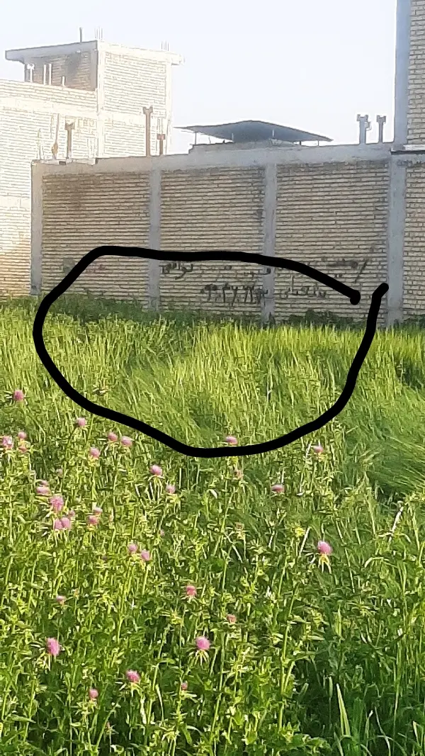 زمین مسکونی