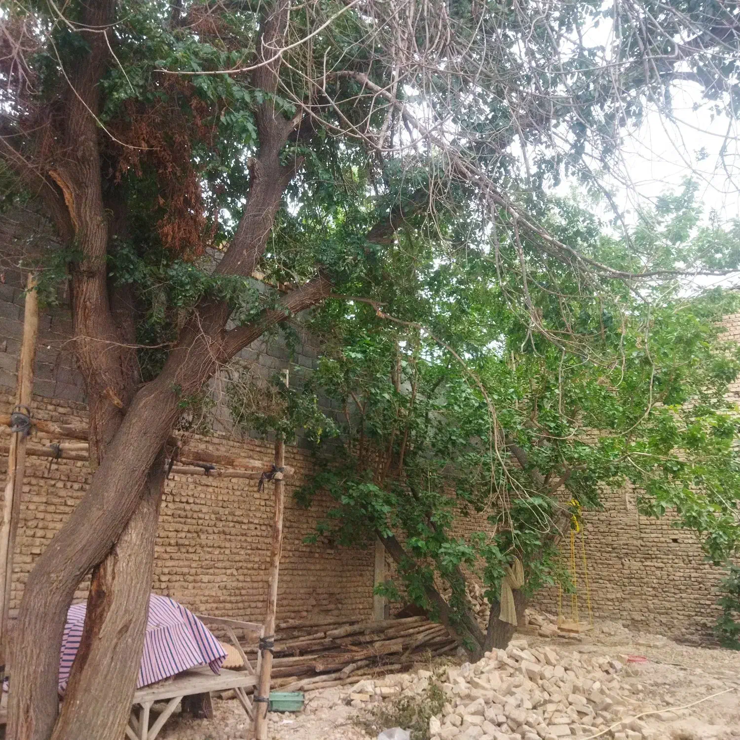 باغچه زمین چهار دیواری محمد شهر کرج