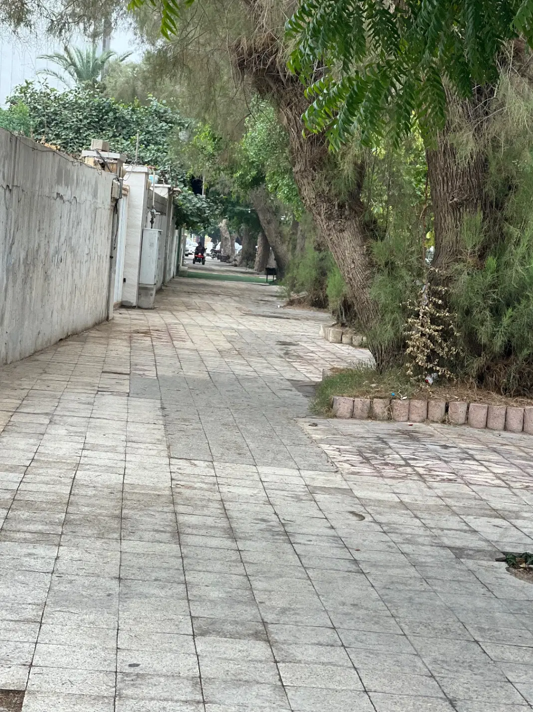 زمین ۱۵۴متری سند دار پلاک سوم
