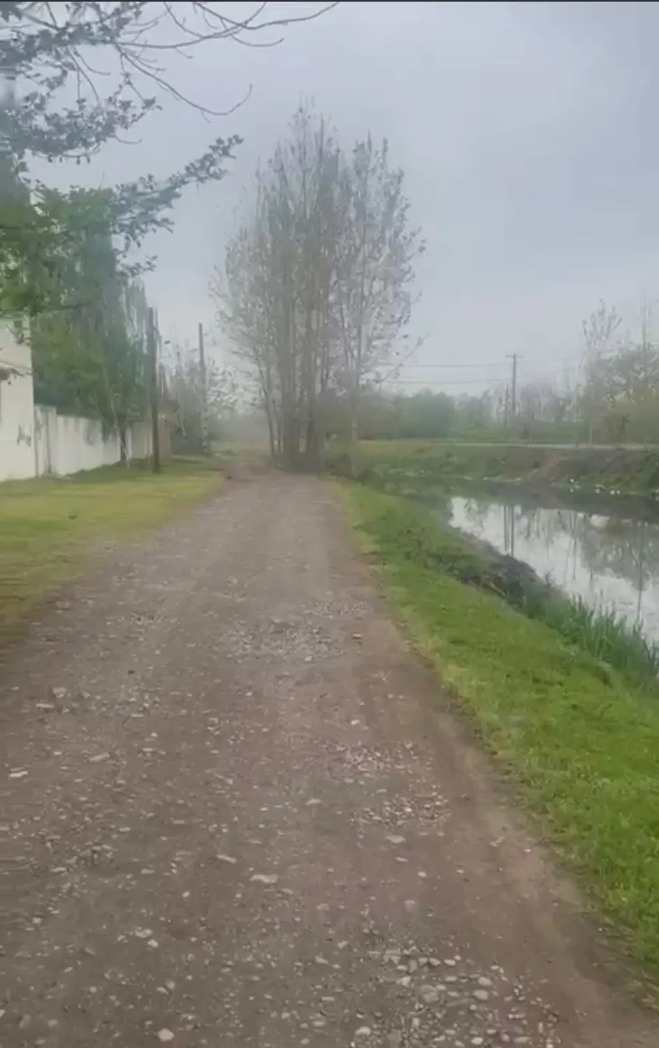 زمین ۵۰۰ متری داخل بافت