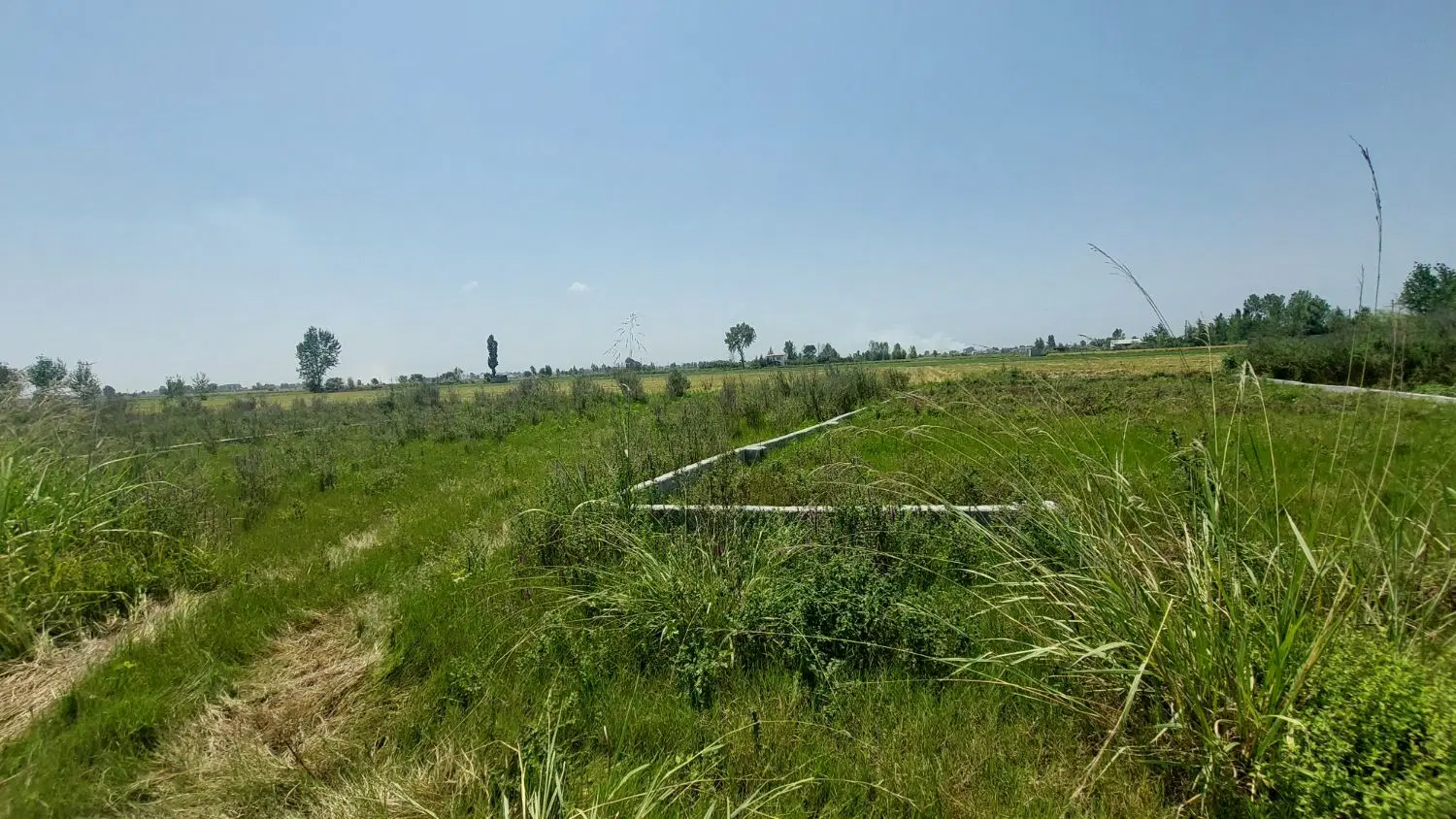 زمین ۲۰۰ متری خوش‌قواره در روستای حربده