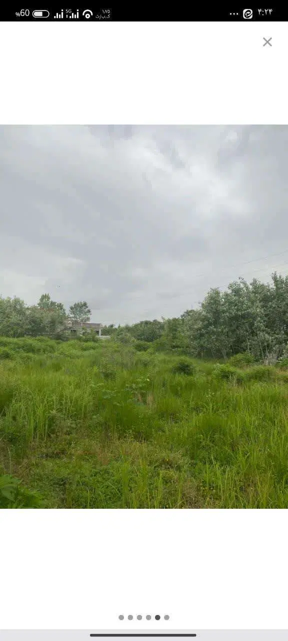 زمین ۱۰۰ متری سنددار