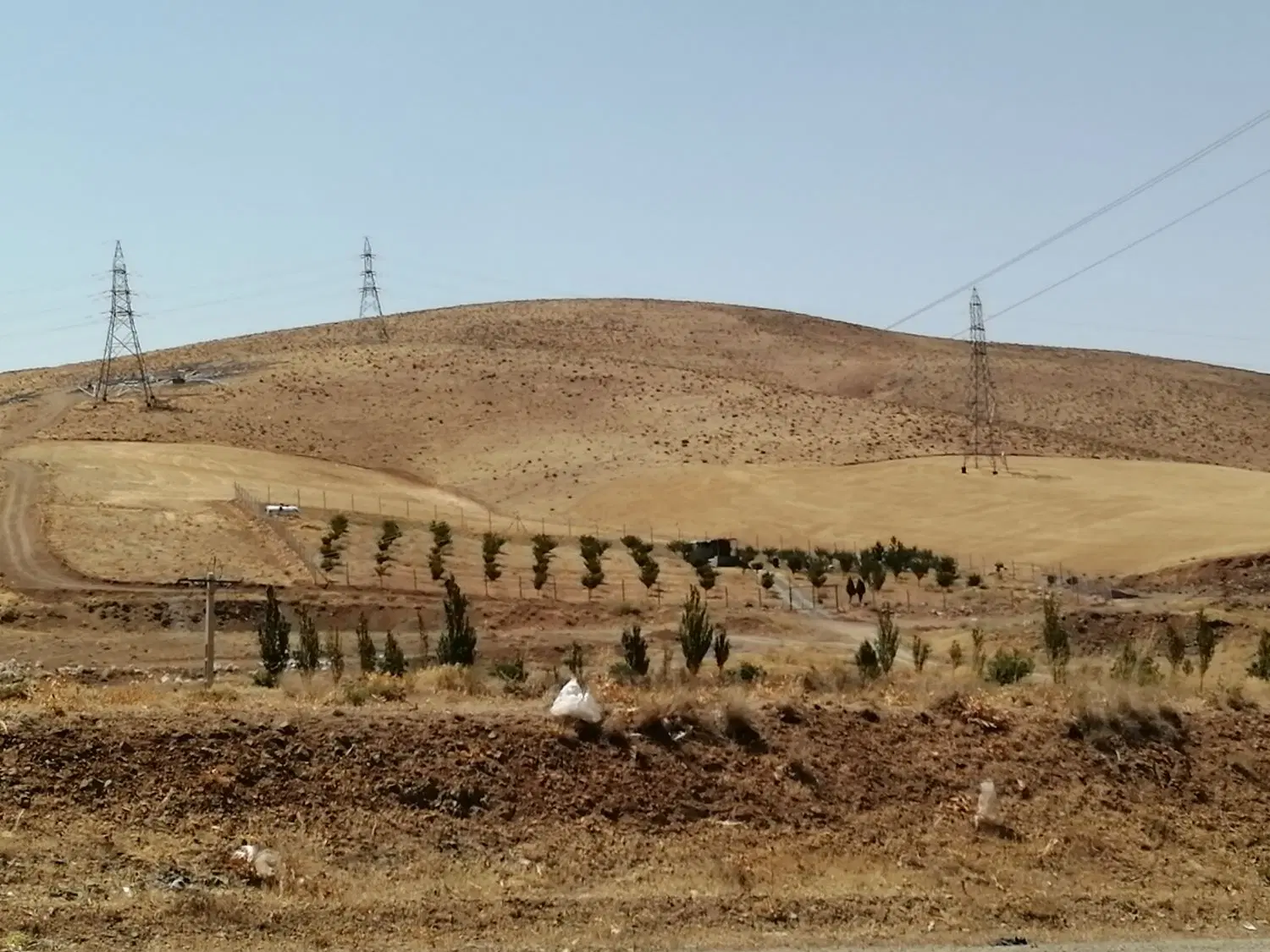 زمین باغ، زراعی