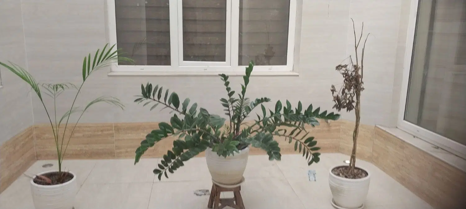 خانه