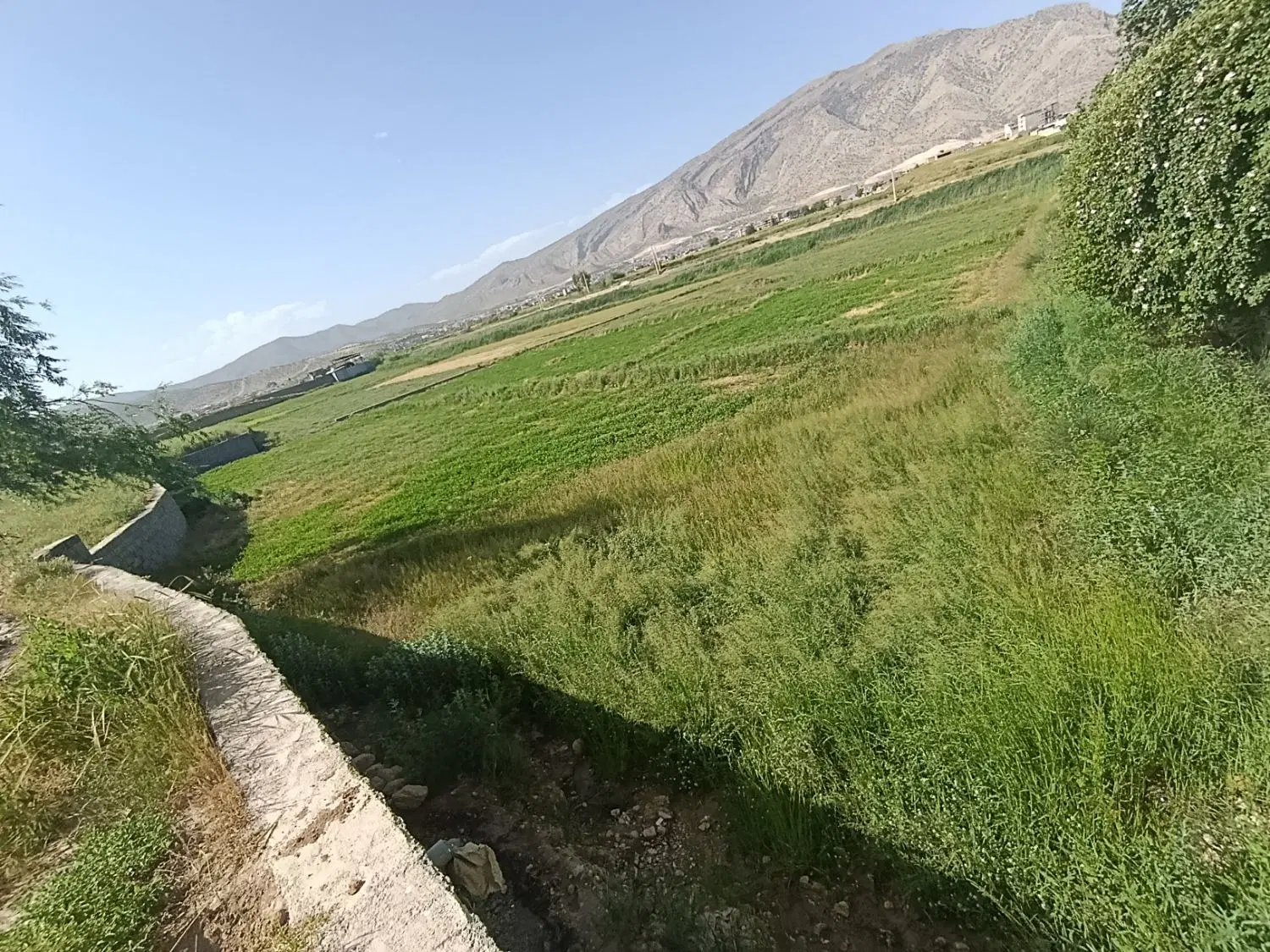 زمین کشاورزی