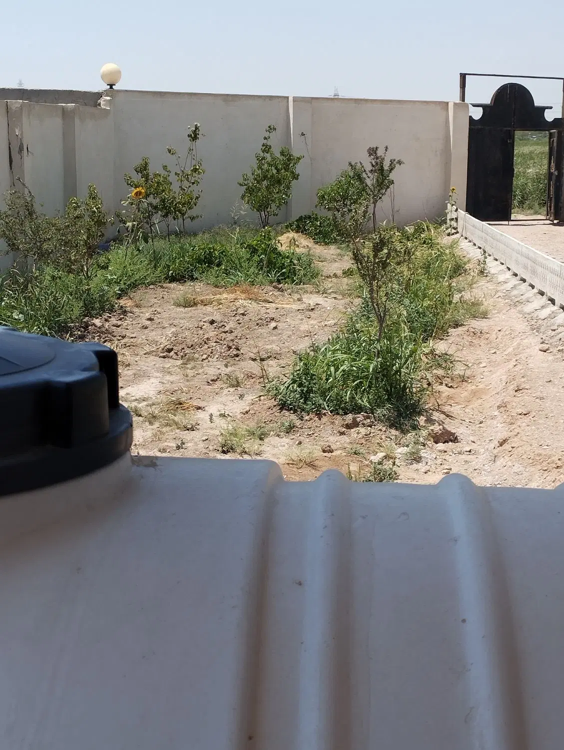 باغ‌‌وباغچه