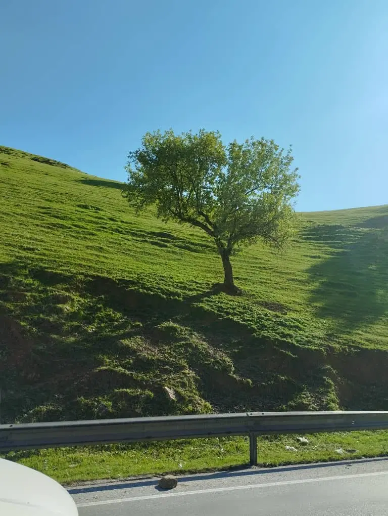 زمین 400 متری سه نبش در بیرجند