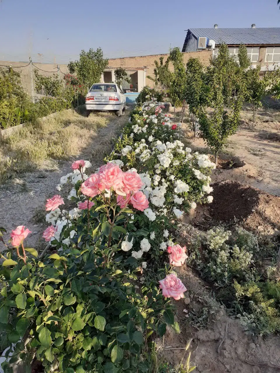 باغچه سنددار