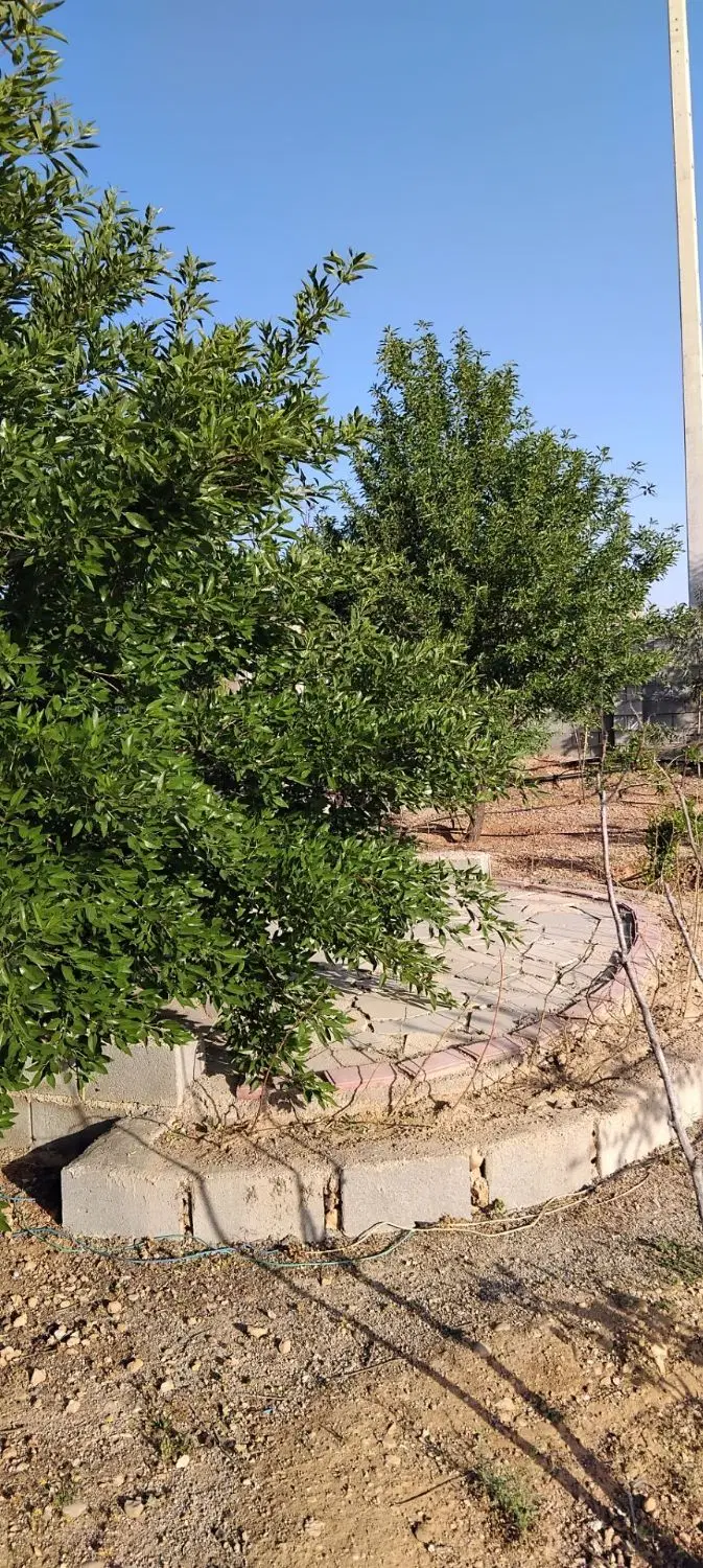 باغ باغشهری سیخ دارنگون مجتمع هوردشت