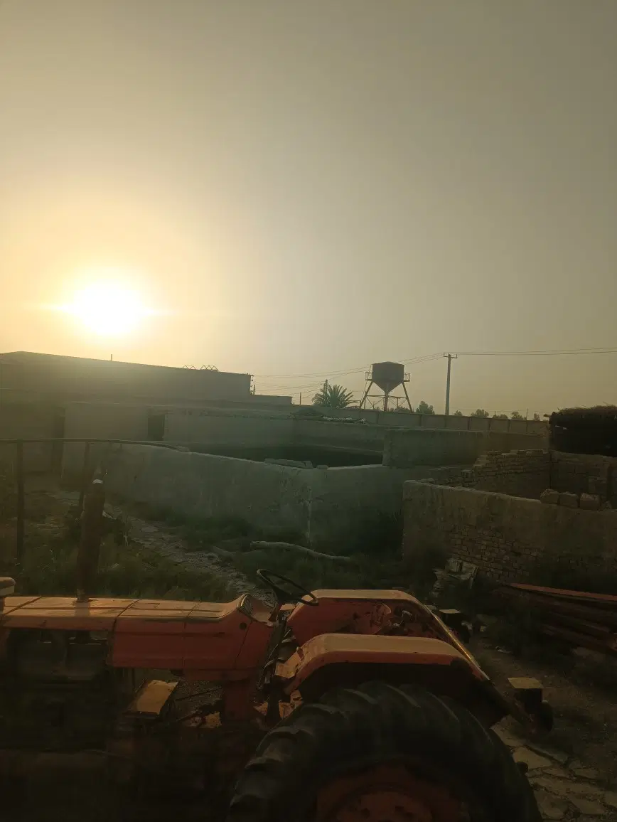 دامداری و دامپروری