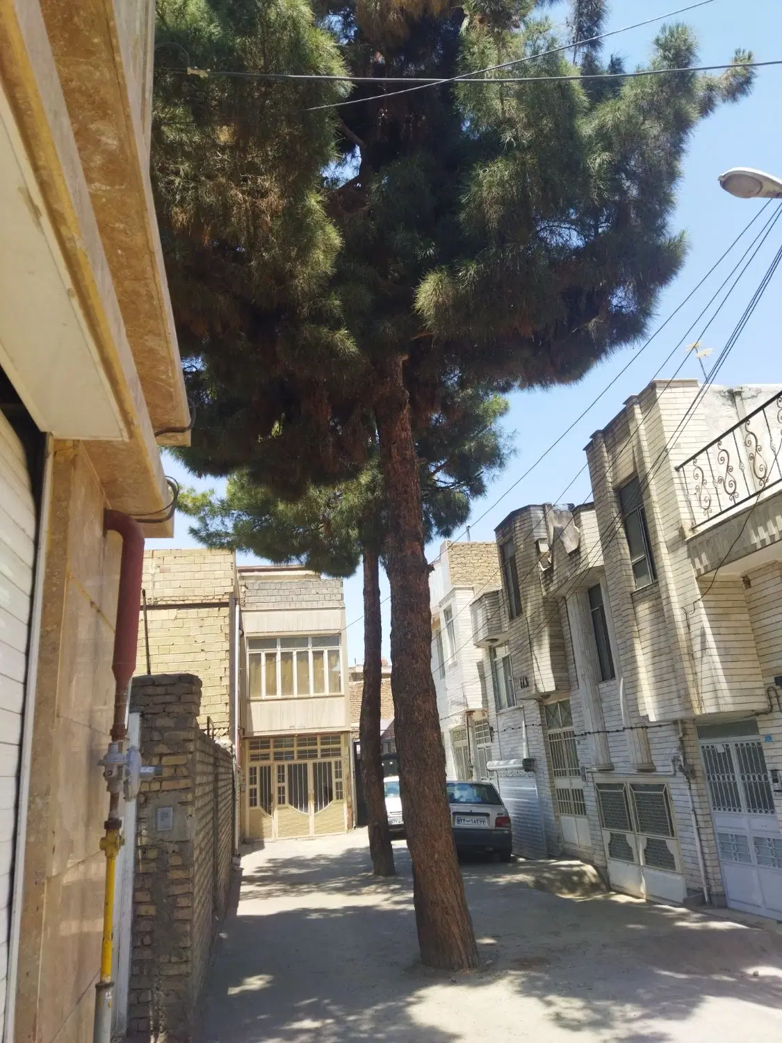 زمین موقعیت عالی