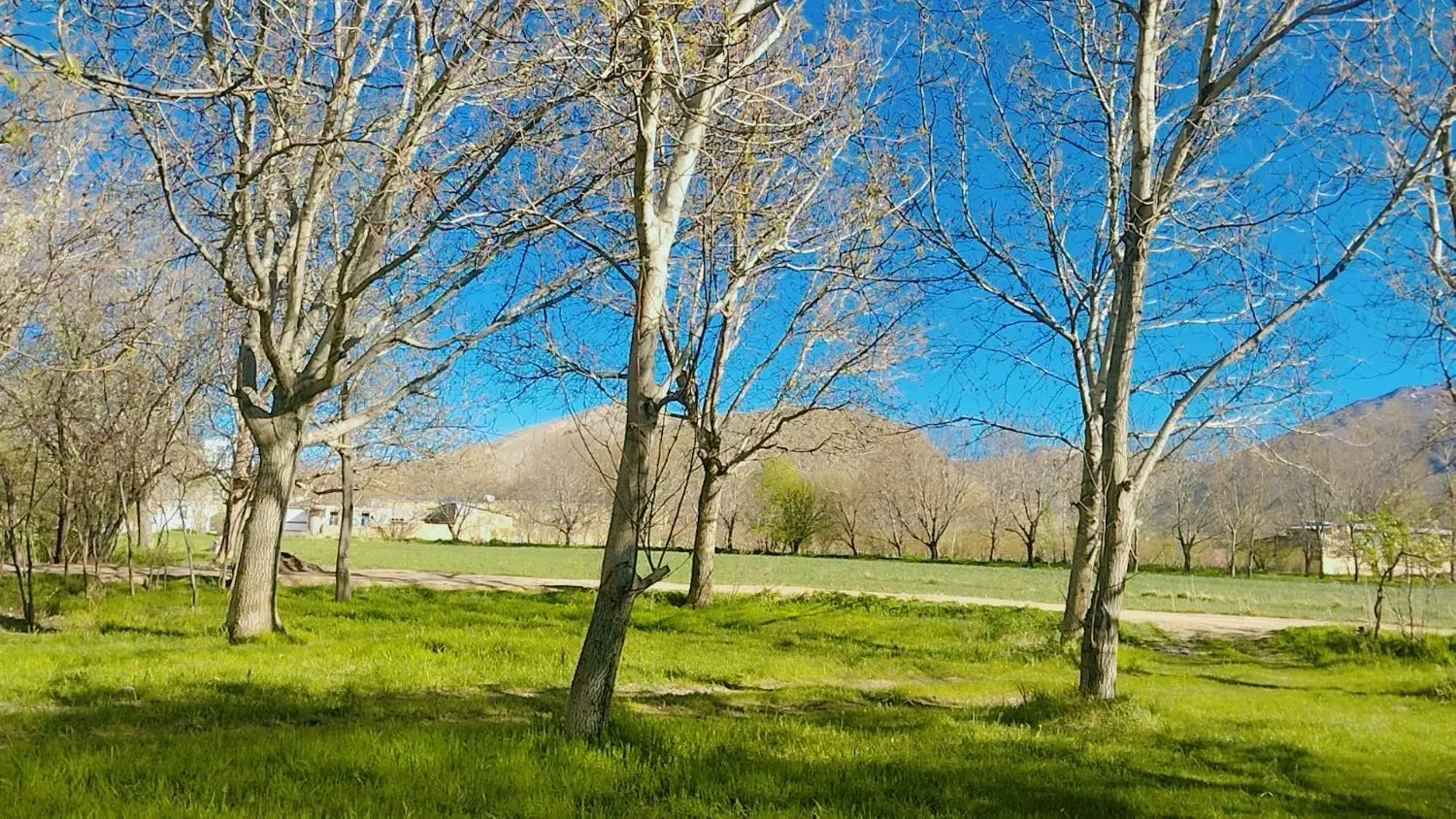 زمین فروشی