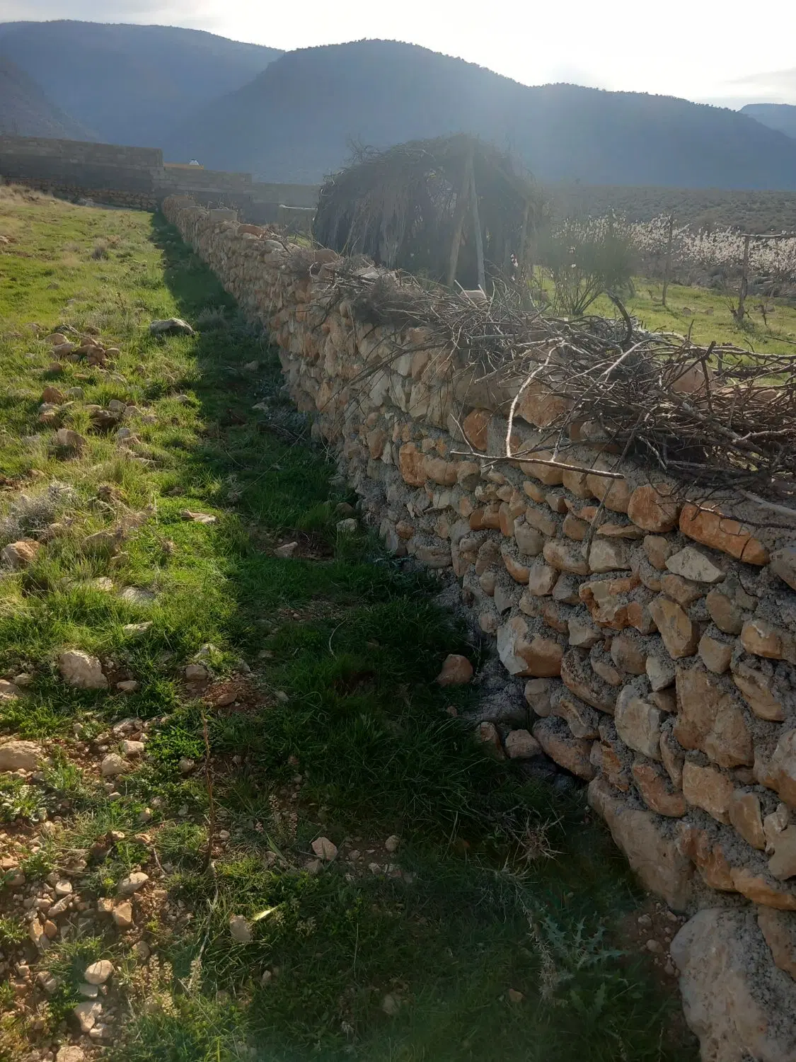 فروش باغ شهری