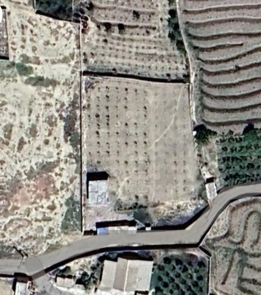 فروش باغ