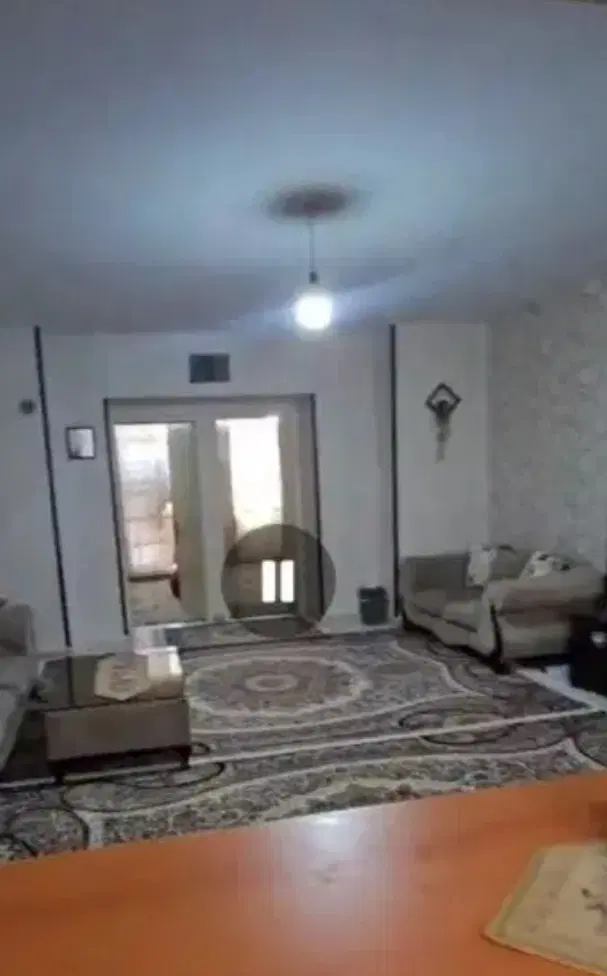 همخونه خانم موجه