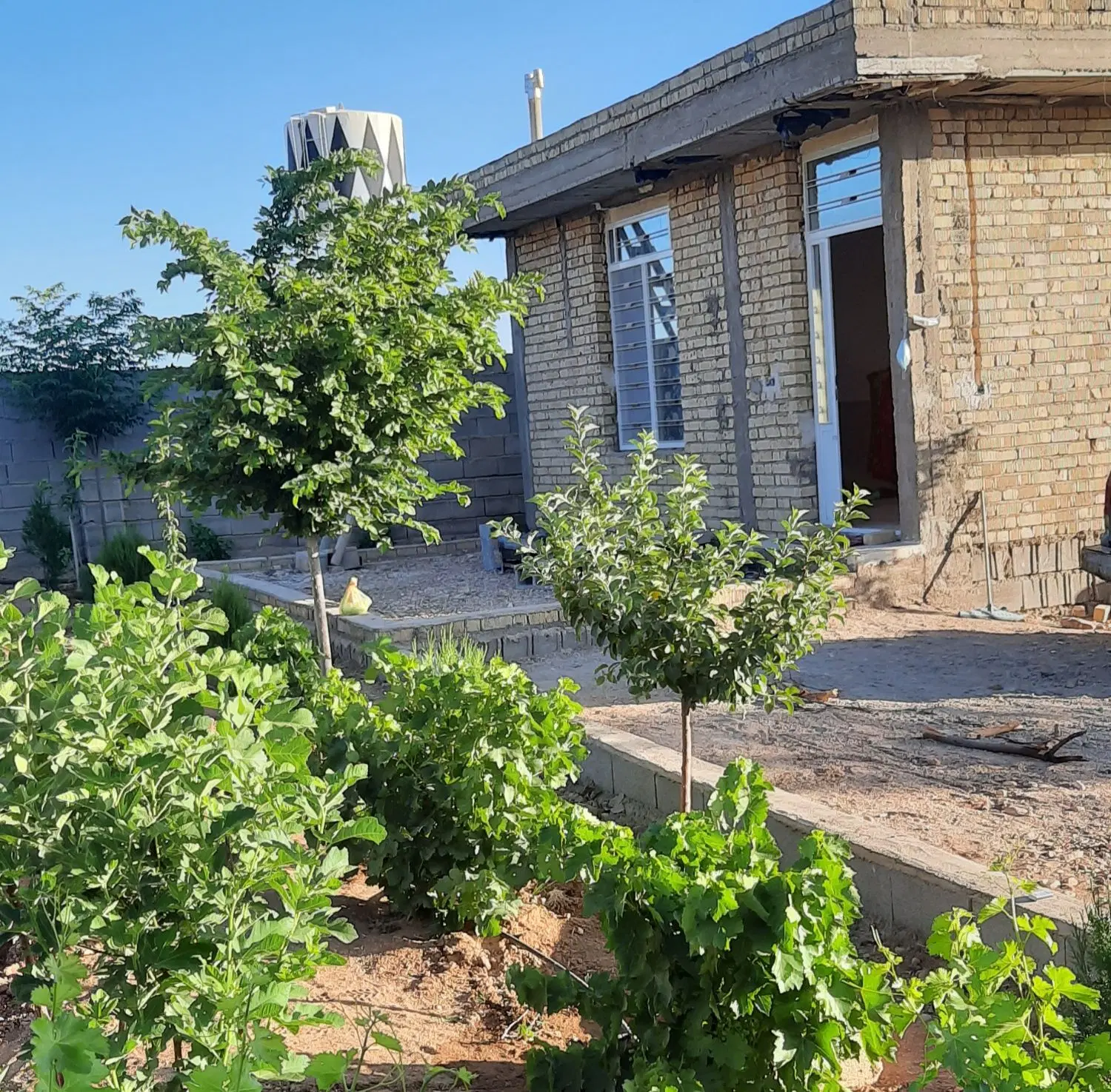 ویلا باغ گلستانه