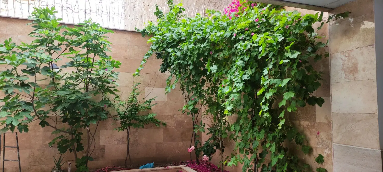 ویلایی دوطبقه رو پیلوت با آسانسور