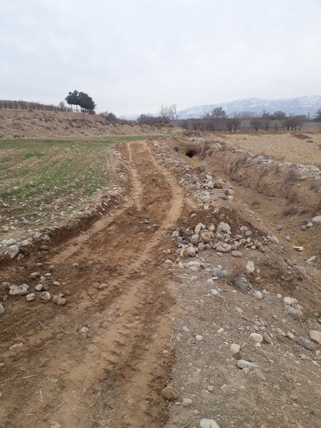 زمین کشاورزی
