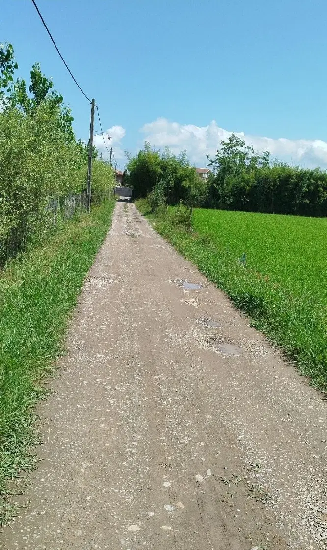 معاوضه دو زمین مسکونی با ملک