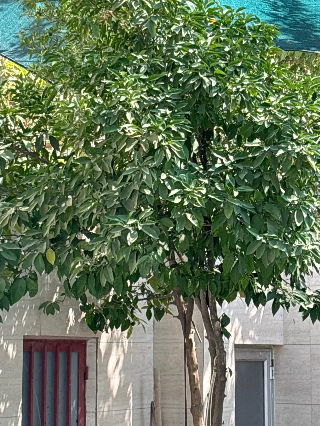 فروش منزل ویلایی