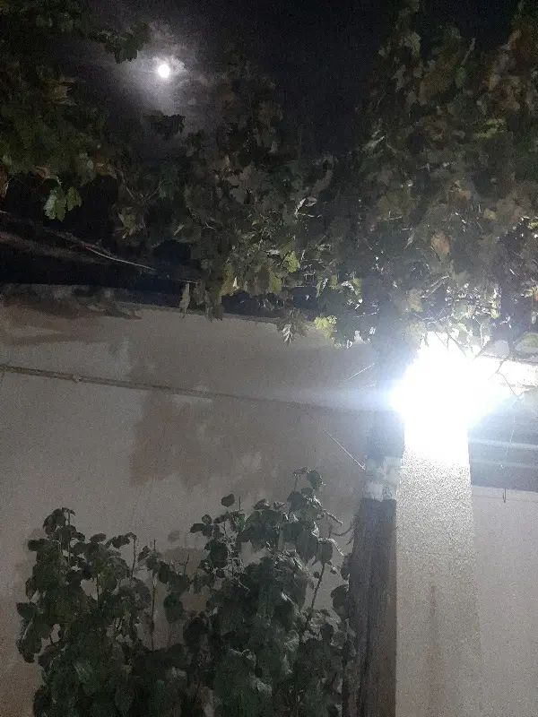فروش منزل ویلایی