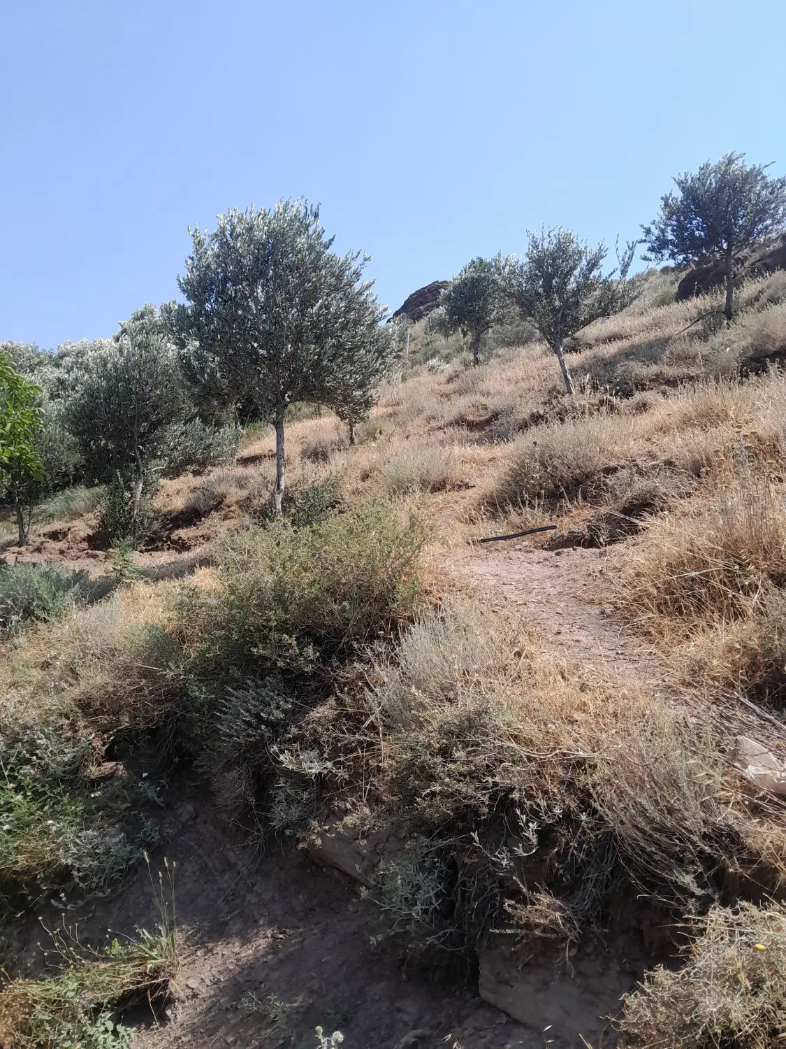فروش خانه ویلایی