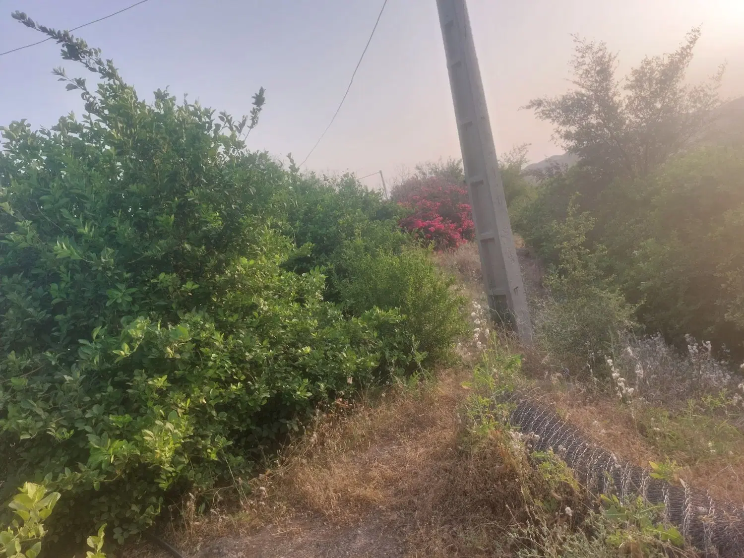 خونه باغ جهت اجاره شهرستان بهبهان روستای خاییز