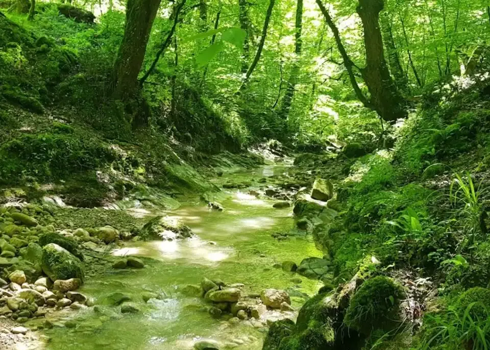 فروش زمین