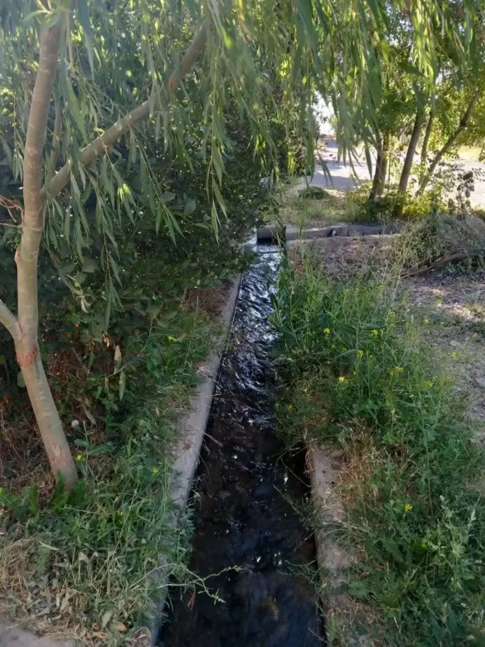 فروش باغ حسن ابدال سند تک برگ