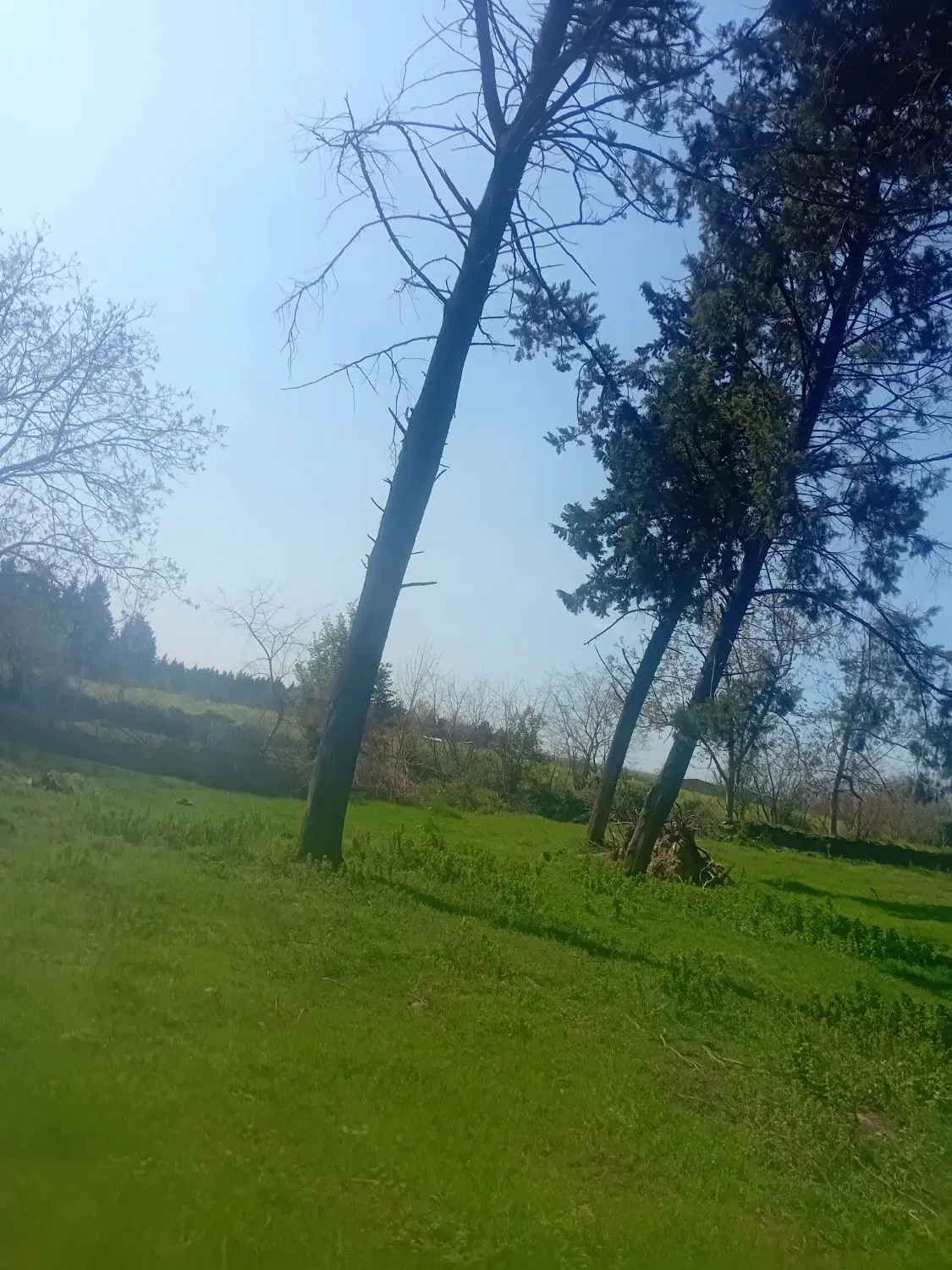 زمین 100متری شموشک