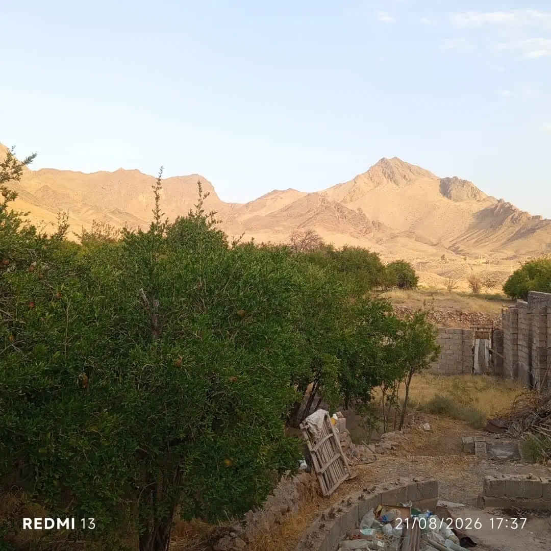 زمین مطهری درب حیاط کوچه بستنی تیک مطهری ۶۱