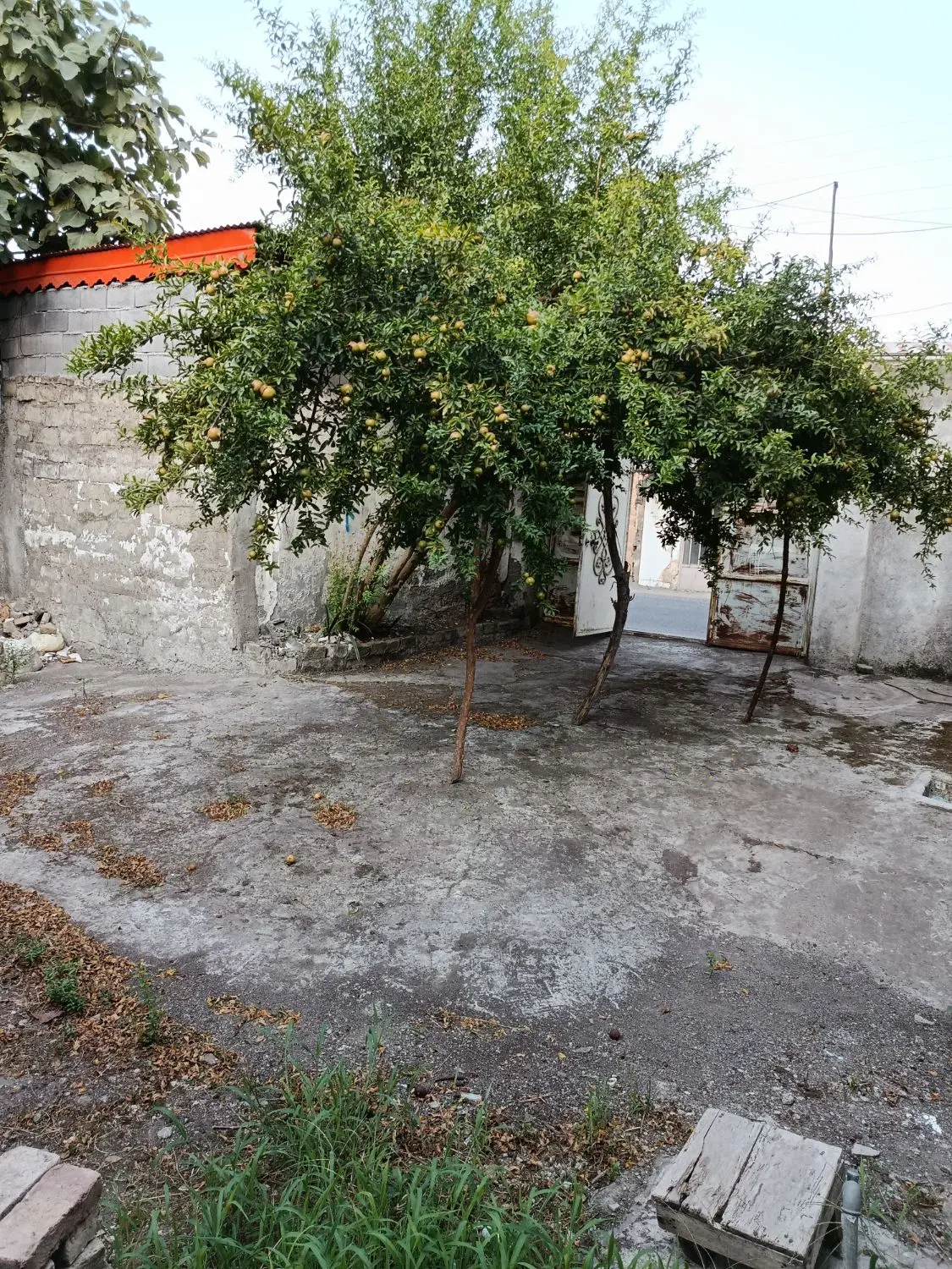 زمین مسکونی و  تجاری