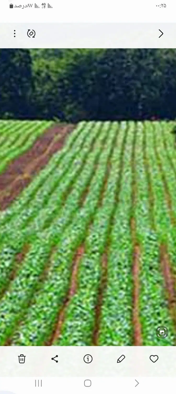 فروش زمین کشاورزی