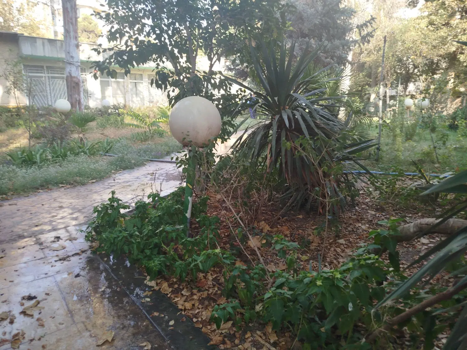 800متر مناسب باغ رستوران و باشگاه و