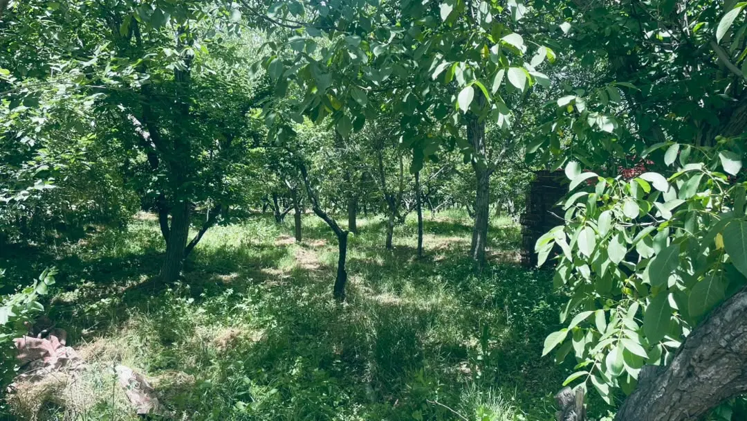 ۹۳متر _دوخواب_روبه آفتاب _سند آزاد