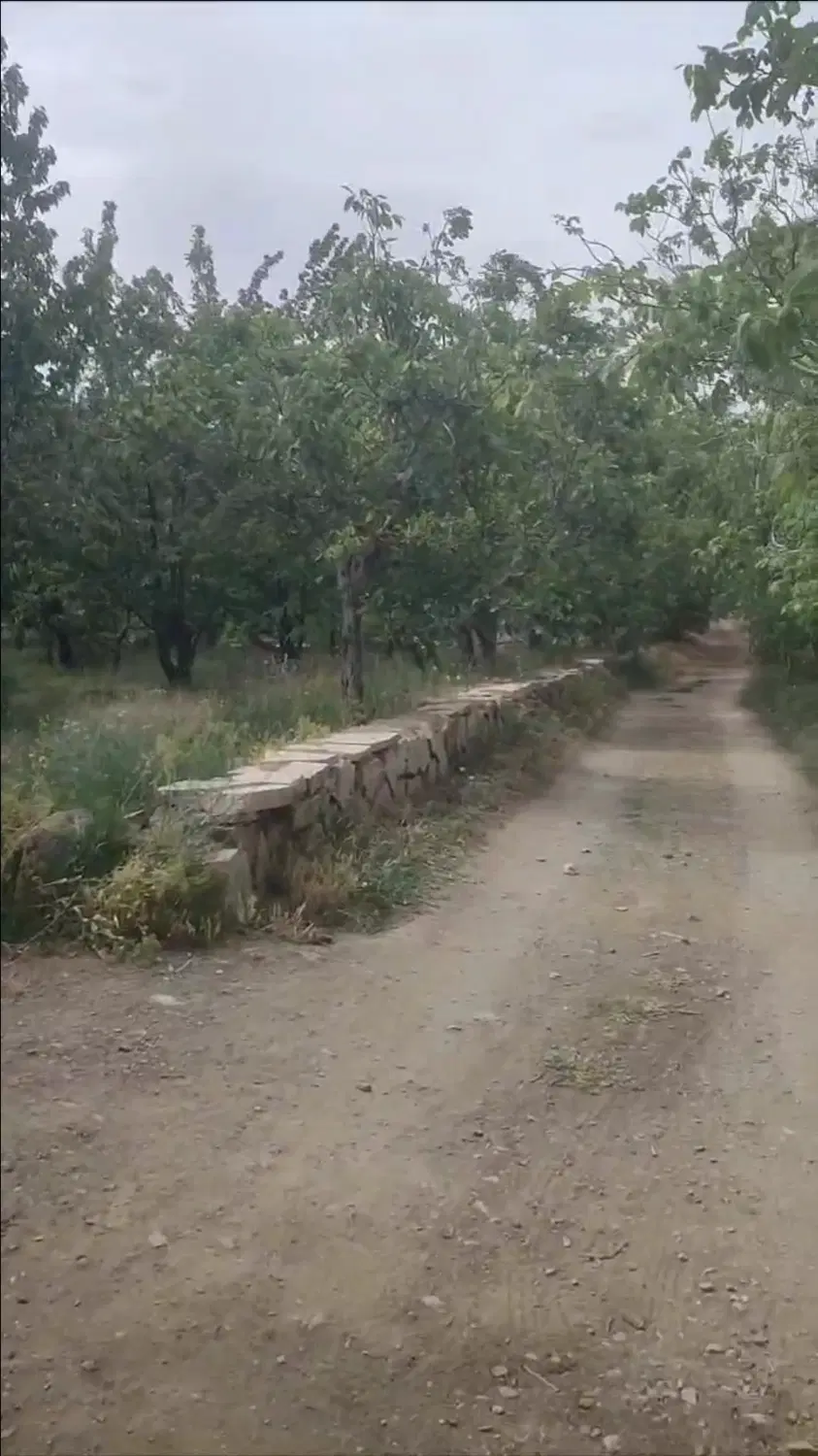 باغ سرسبز خوش قیمت