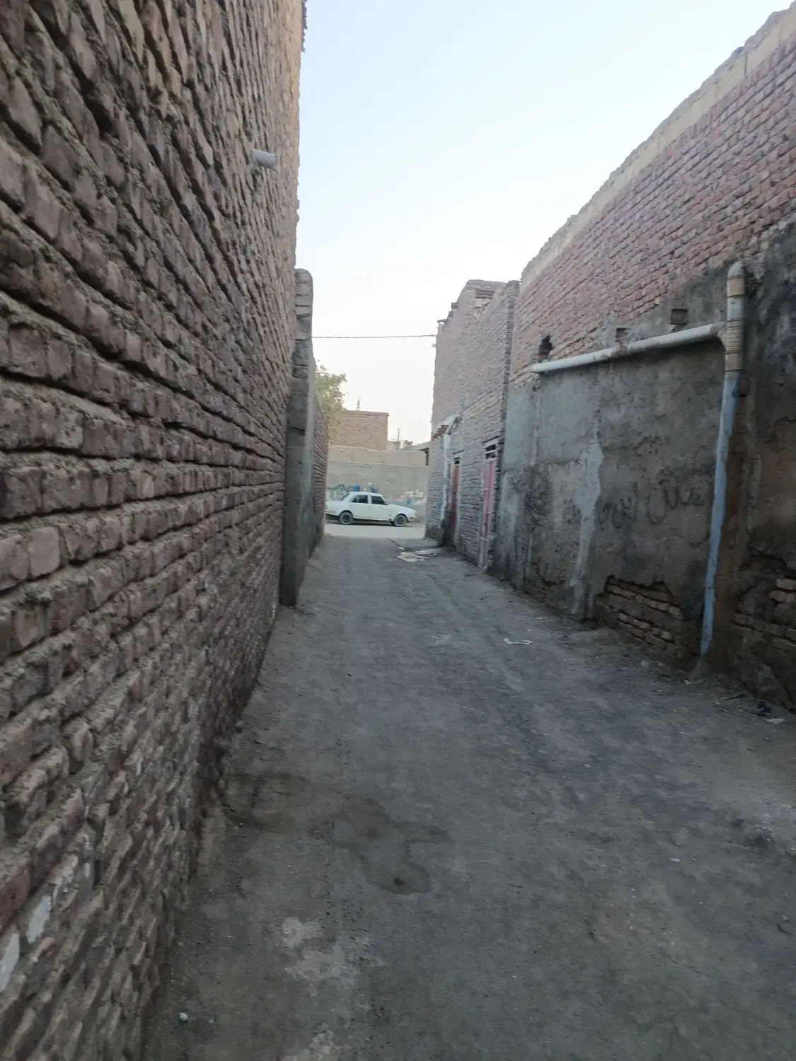 باقری75