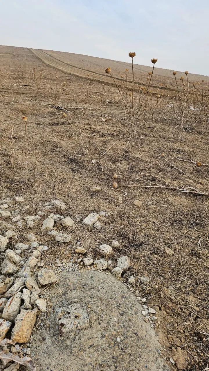زمین مسکونی فرشته