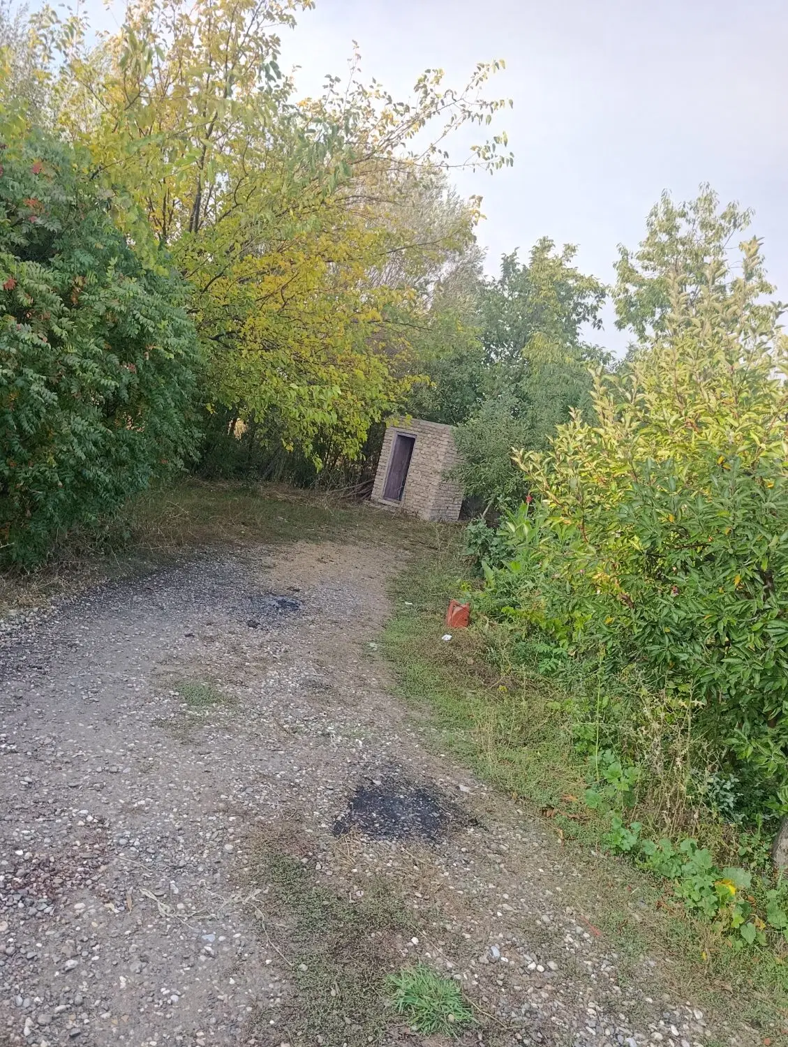 باغچه در بالانج روستایی ساعتلو