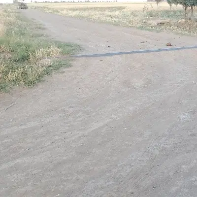 زمین تجاری مسکونی نصرت آباد