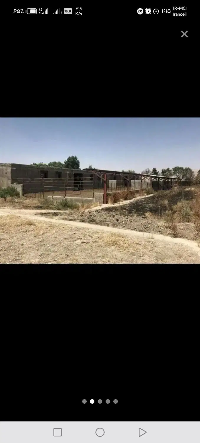 فروش گاوداری شیری