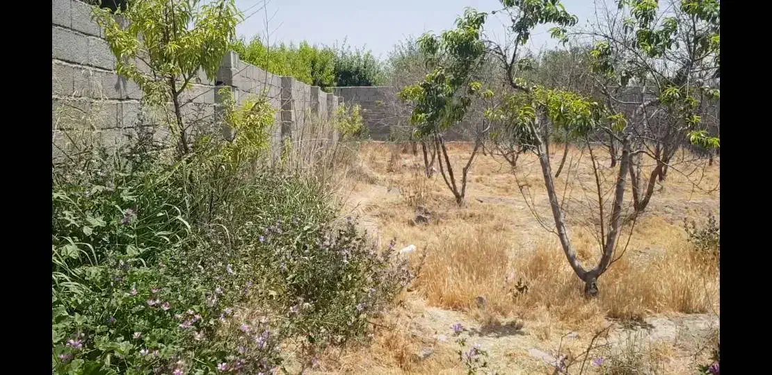 فروش زمین در شهرک ویلایی در نمکلان کرج