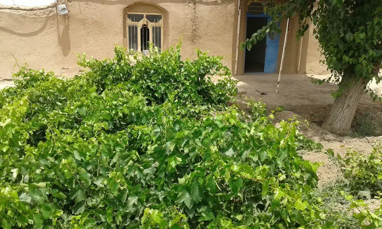 ۲۰۰۰ متر منزل مسکونی با آب برق و گاز 1_650 میلیارد