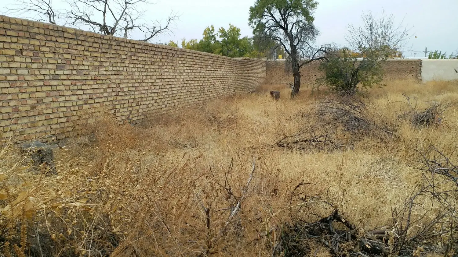 زمین مسکونی روستای سعیدآباد زنجان