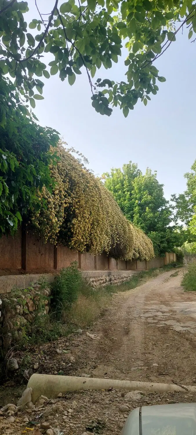 باغ ویلا سربست هماشهر سپیدان فول امکانات